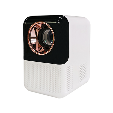 Projector